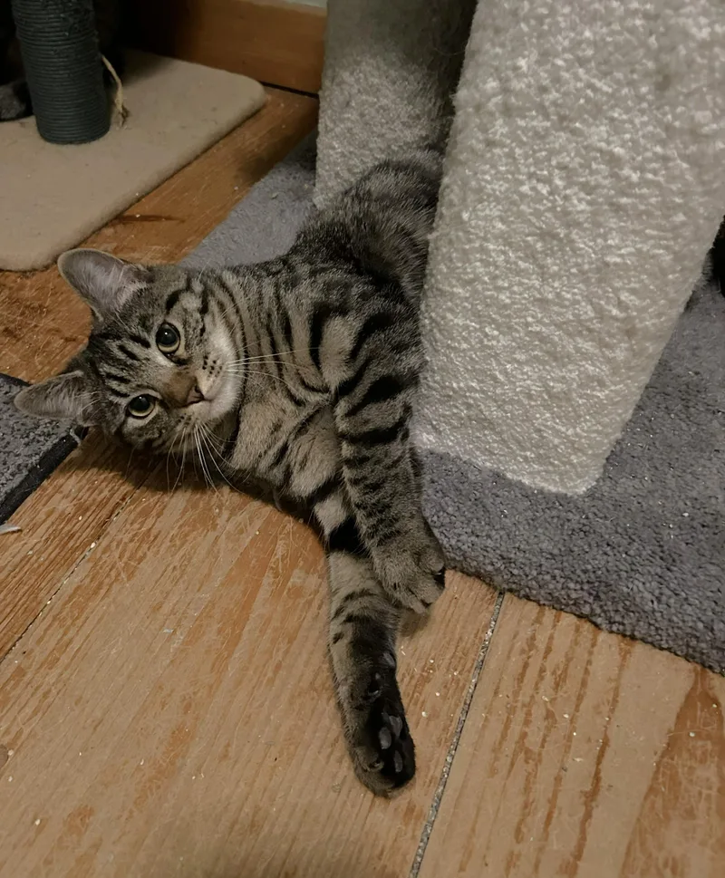 Rachel And Rosie thumbnail 3