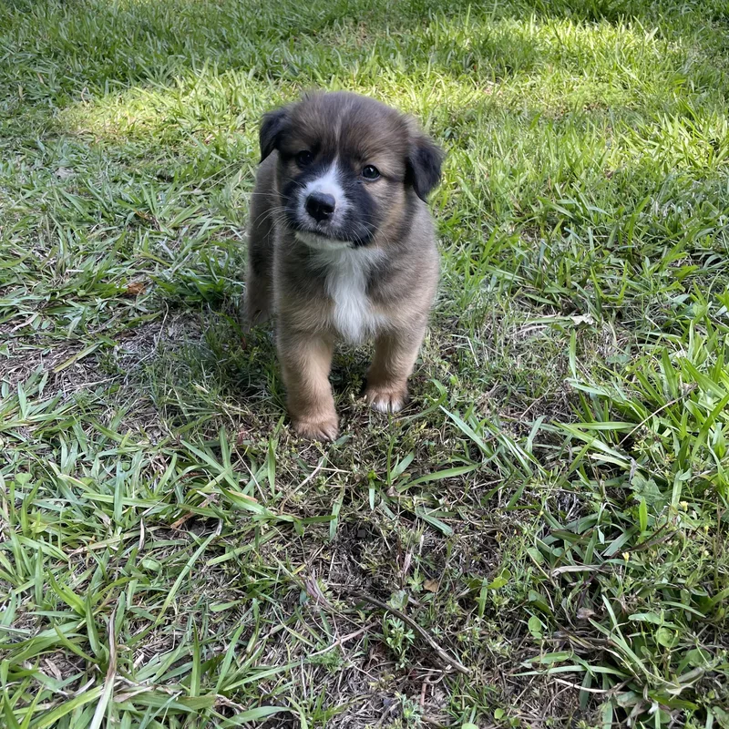Maggie