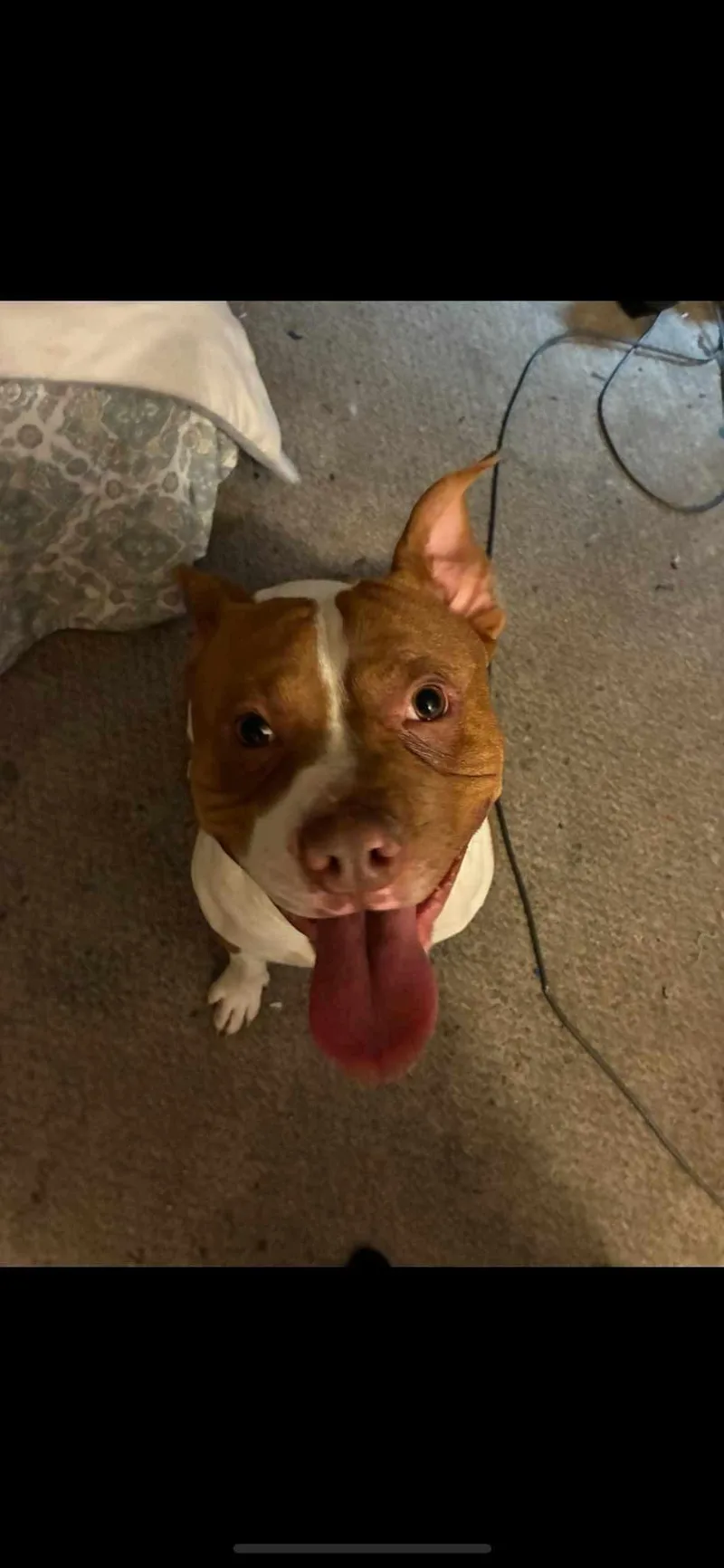 Urgent Rocky thumbnail 2