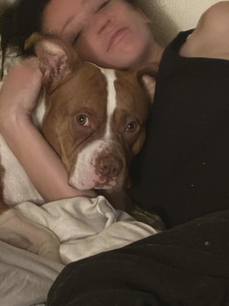 Urgent Rocky thumbnail 3