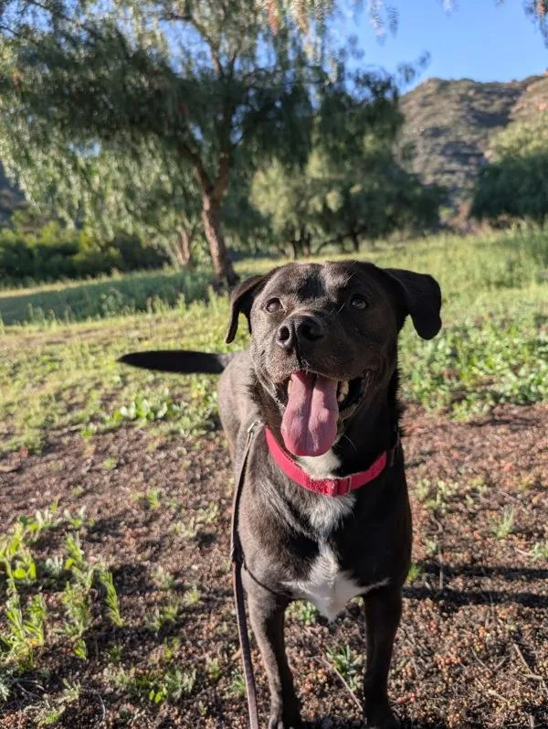 Wisconsin thumbnail 2