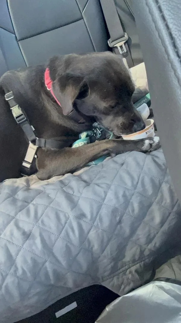 Wisconsin thumbnail 3