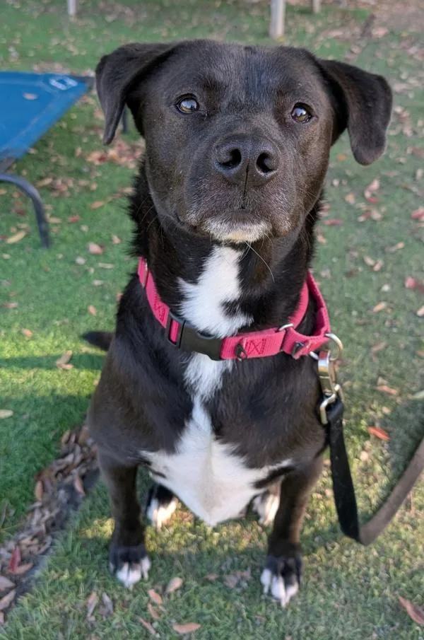 Wisconsin thumbnail 4