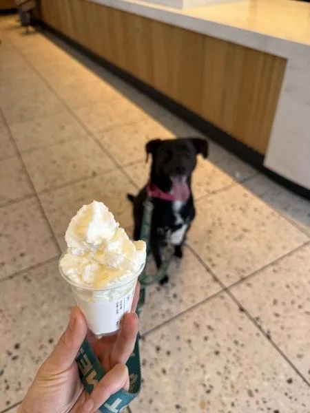 Wisconsin thumbnail 5