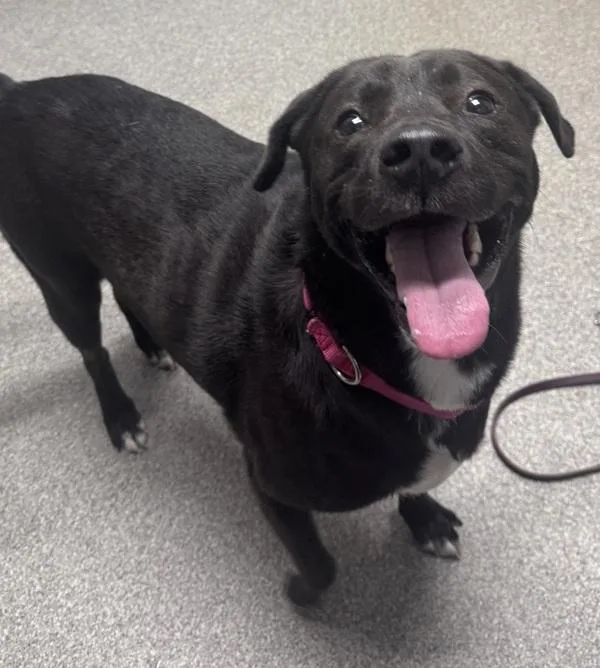 Wisconsin thumbnail 6