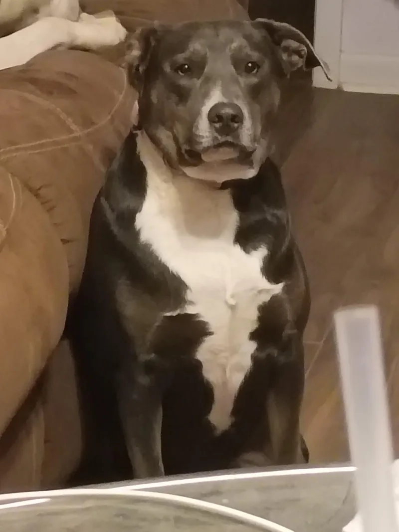 Ma’am Sapphire thumbnail 2