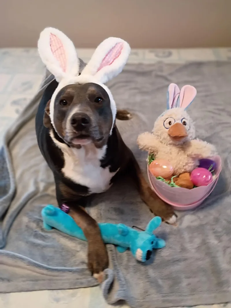 Ma’am Sapphire thumbnail 3