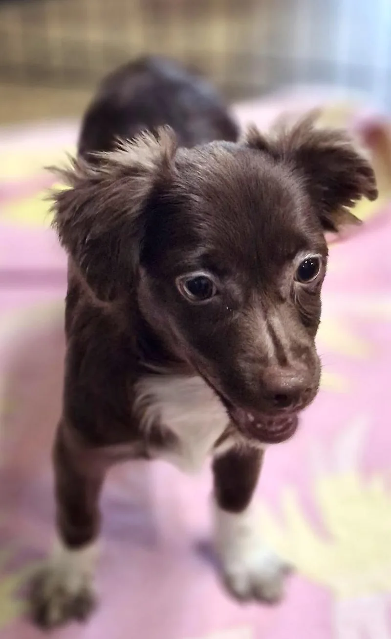 Freya thumbnail 2