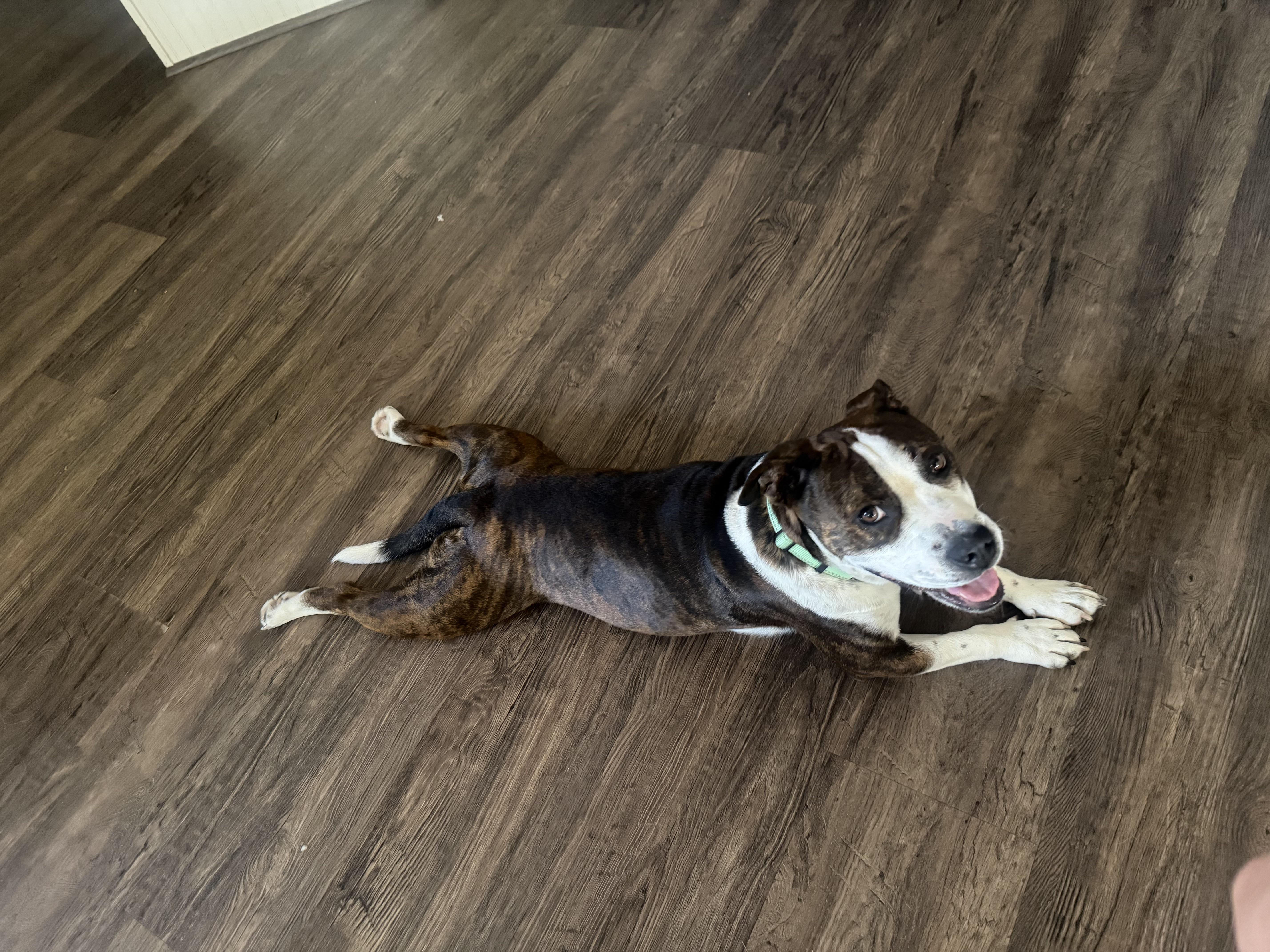 Maggie Mae thumbnail 5