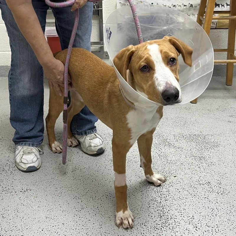 Playstation thumbnail 2