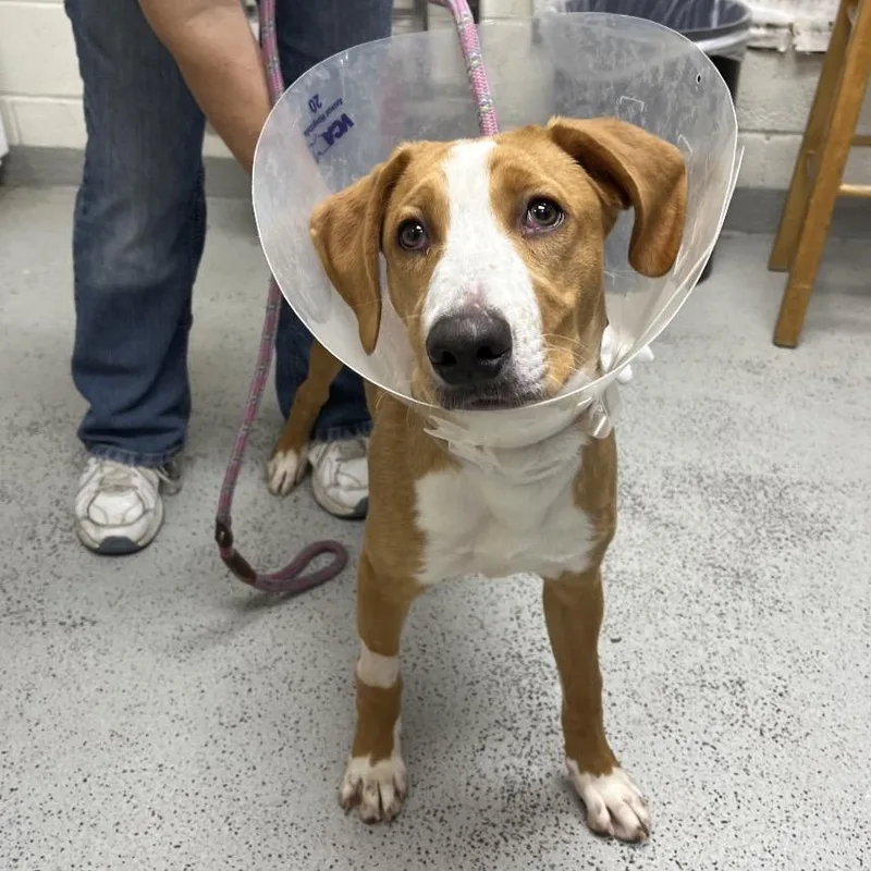 Playstation thumbnail 3