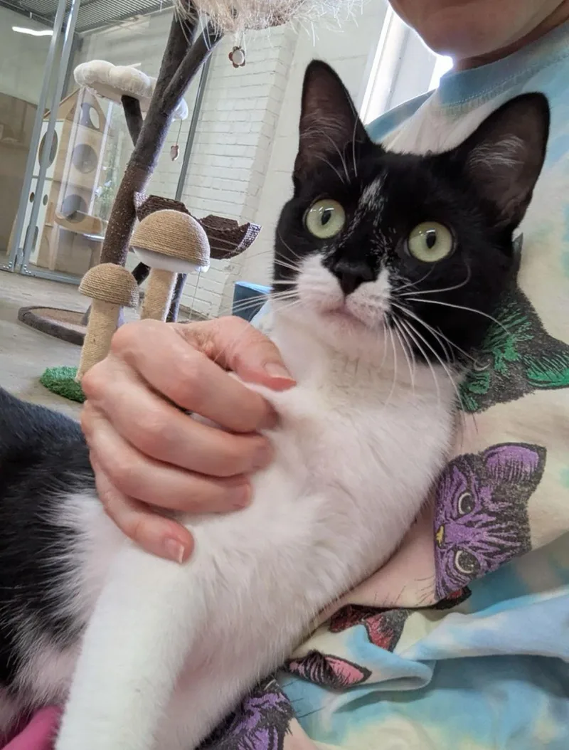 Eden  Masked And thumbnail 3