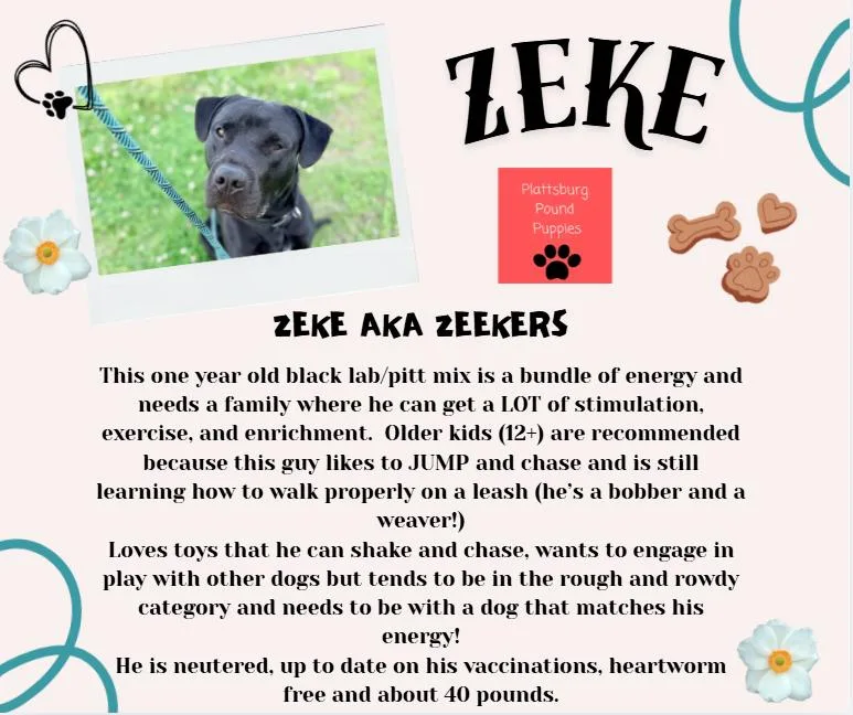 Zeke thumbnail 2