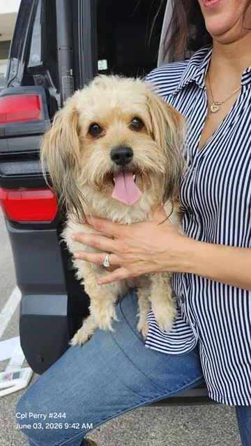 Bella