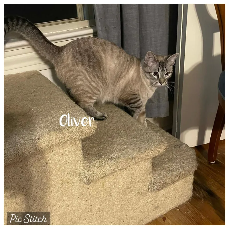 Oliver