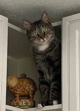 Ezekieland Tigger thumbnail 3