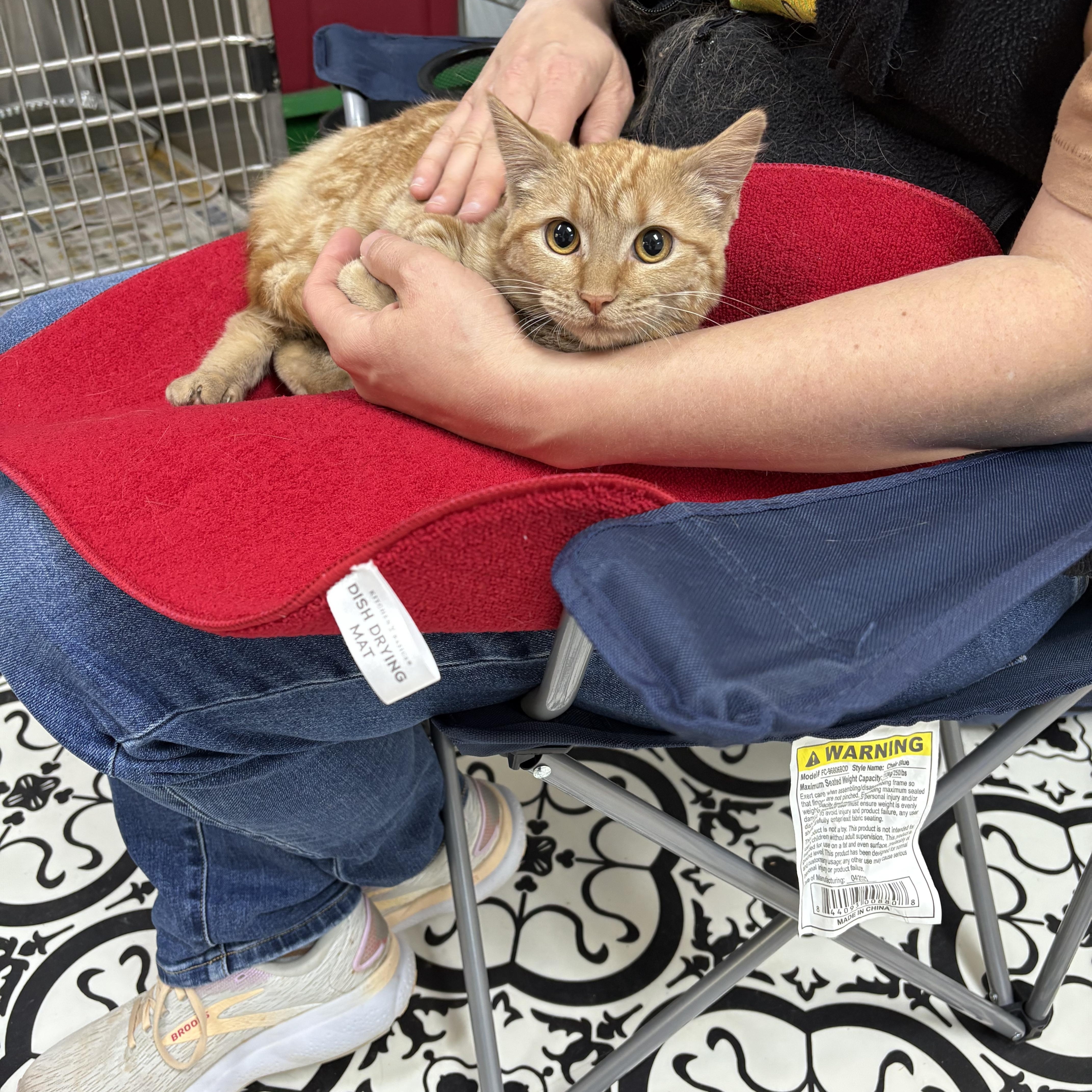 Mrs. Peacock thumbnail 3