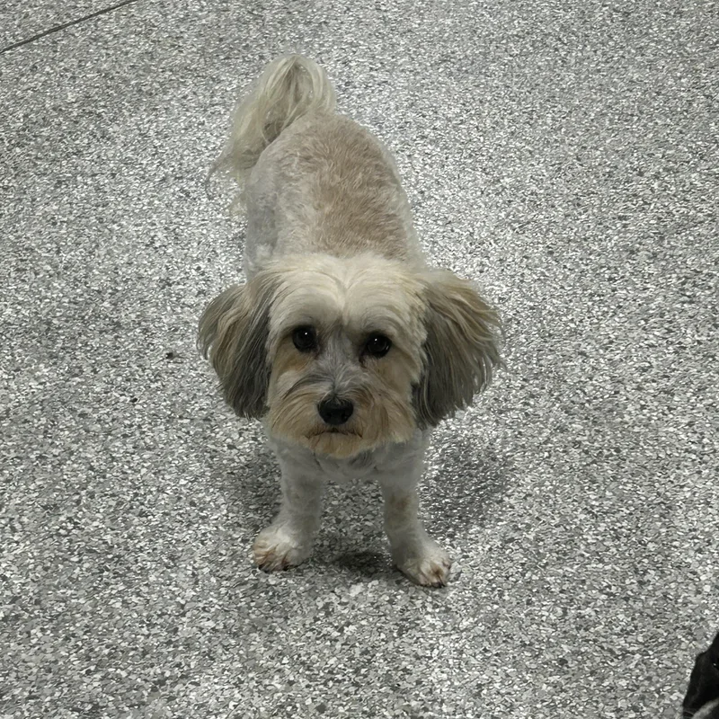 Emmie.