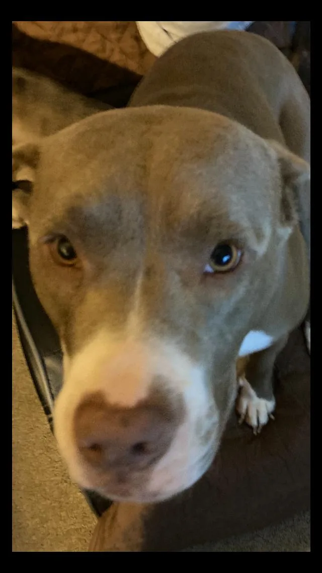 Starbucks thumbnail 2