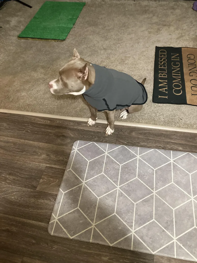 Starbucks thumbnail 5