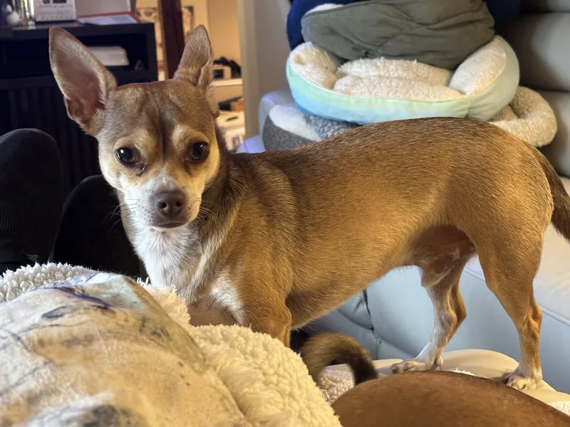 Muttley D & Jeff thumbnail 2