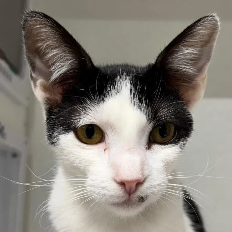 River Jg thumbnail 2