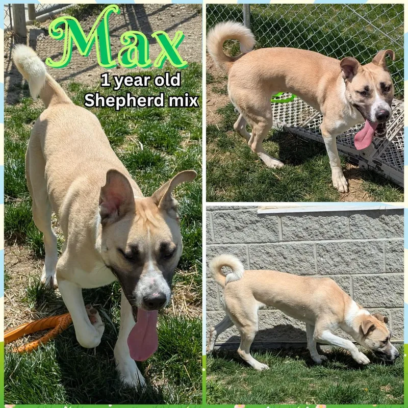 Max