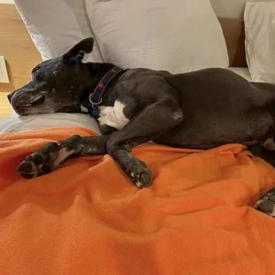 Superman thumbnail 2