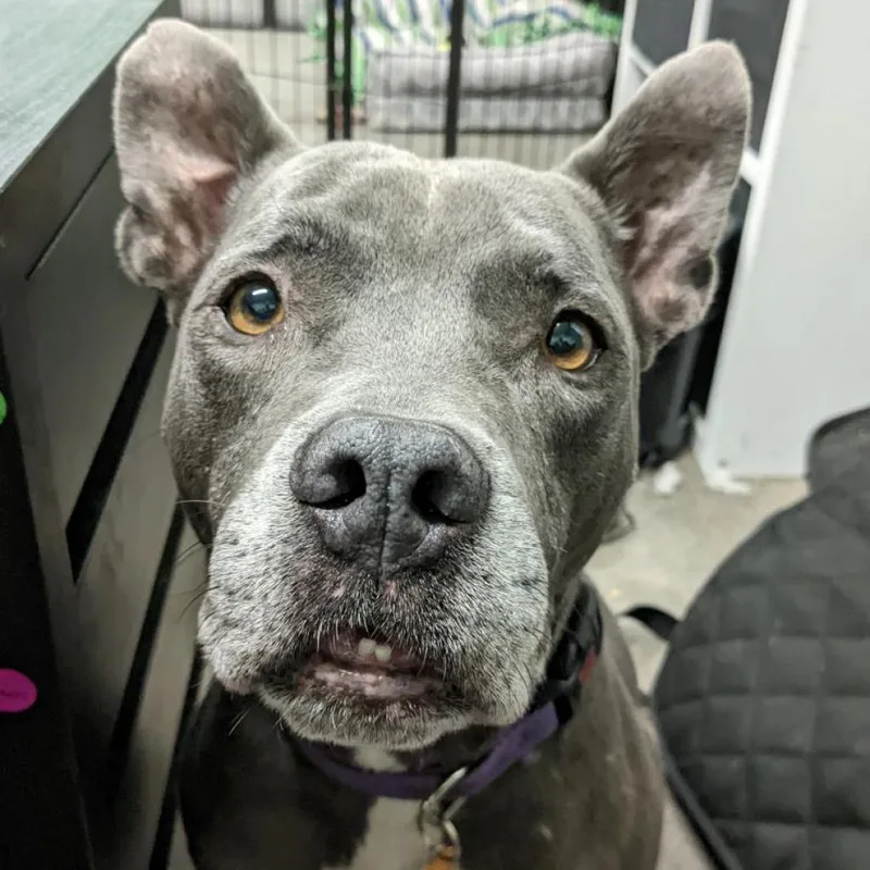 Superman thumbnail 3