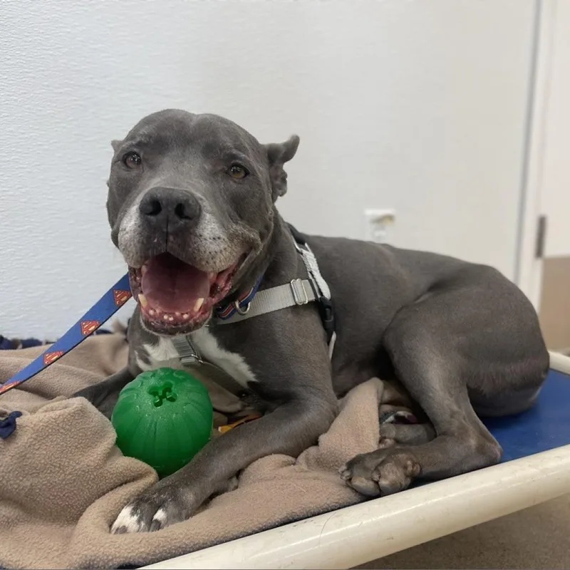 Superman thumbnail 4