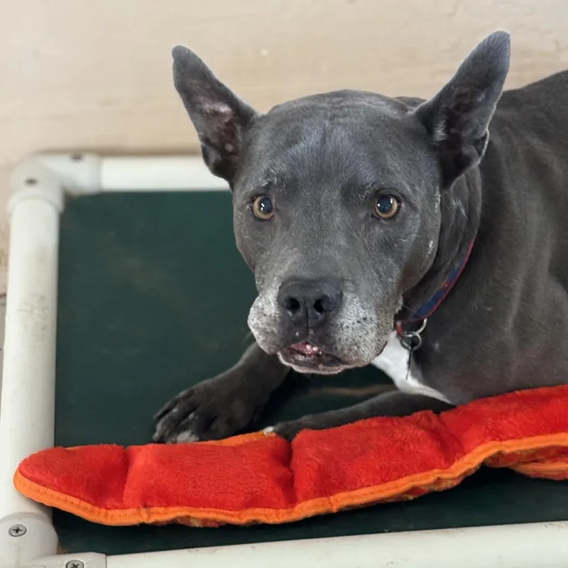 Superman thumbnail 6