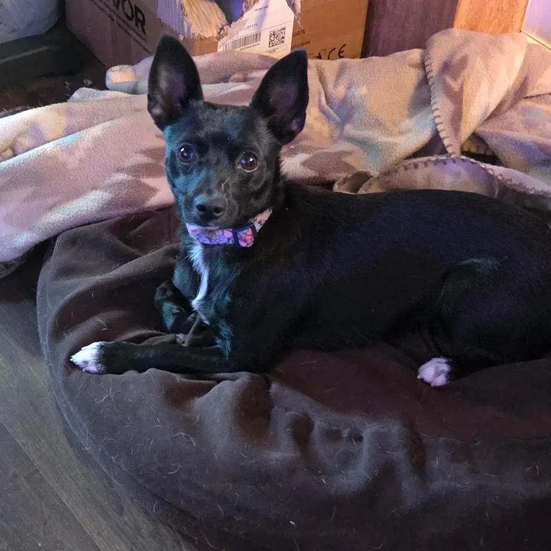Betty thumbnail 3