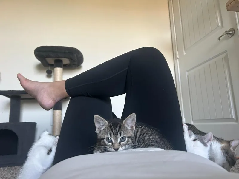 Sasha thumbnail 3