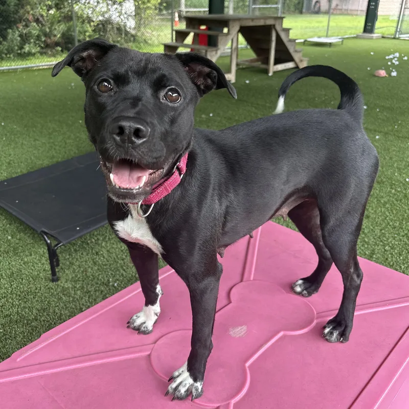 Adalyn thumbnail 3