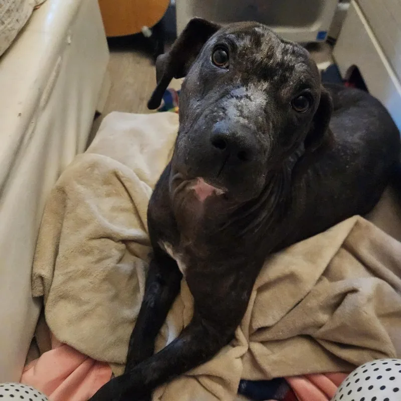 Bubbles thumbnail 6