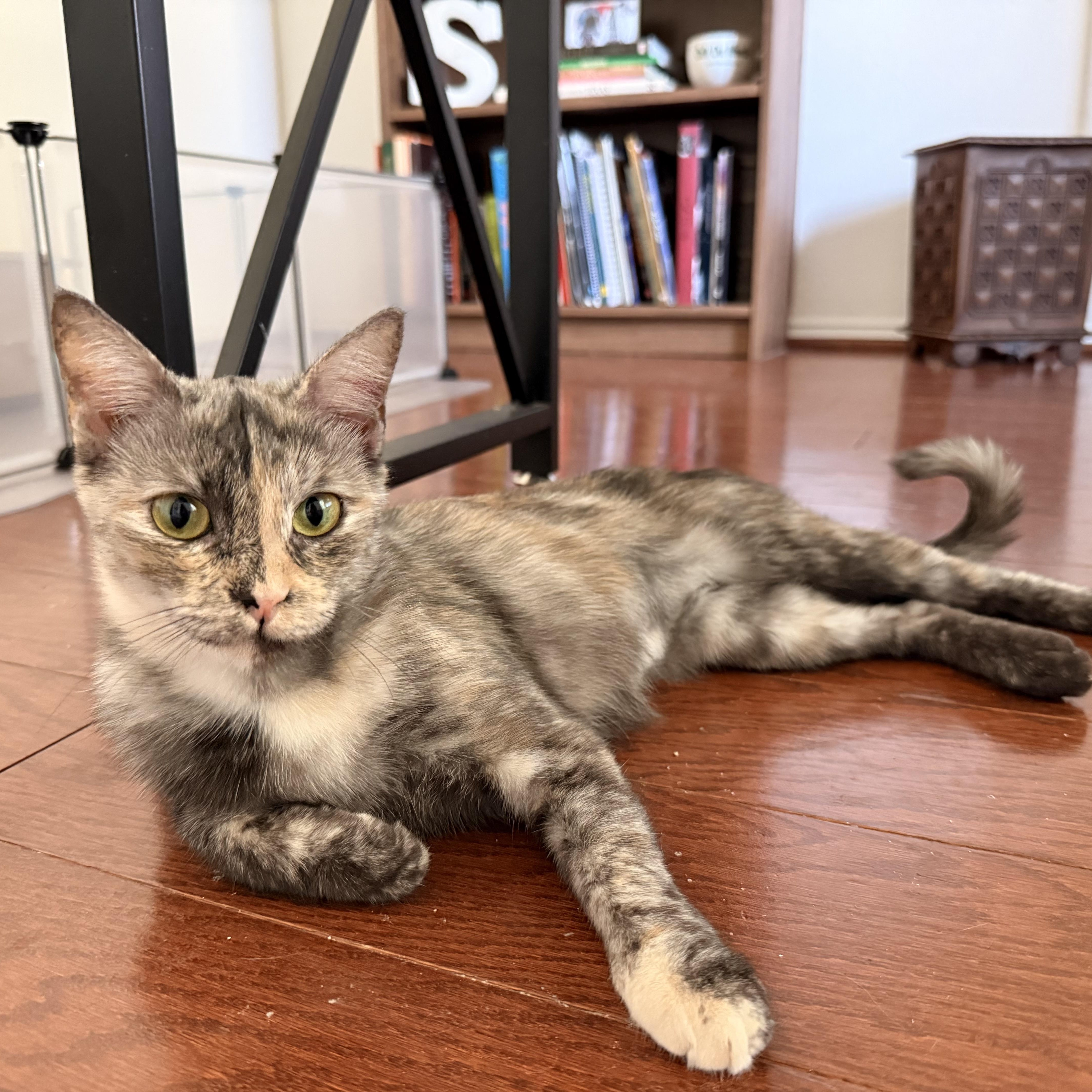 Pepper thumbnail 3