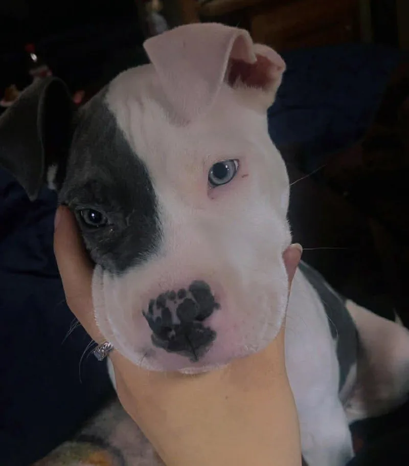 Lyla thumbnail 2