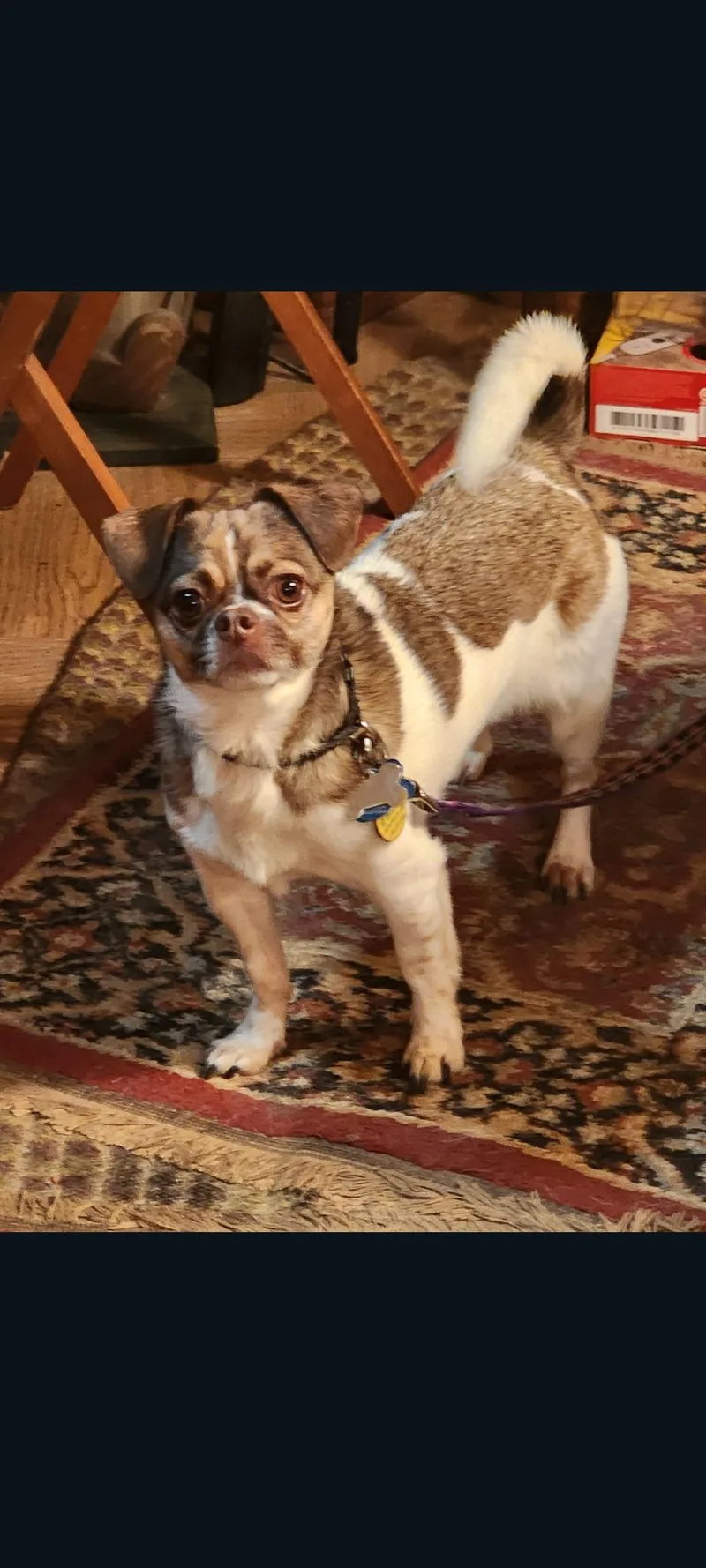 Jeffrey