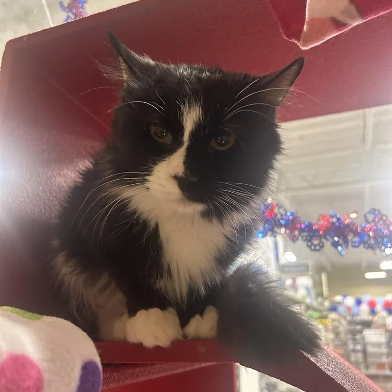 Sacramento thumbnail 2