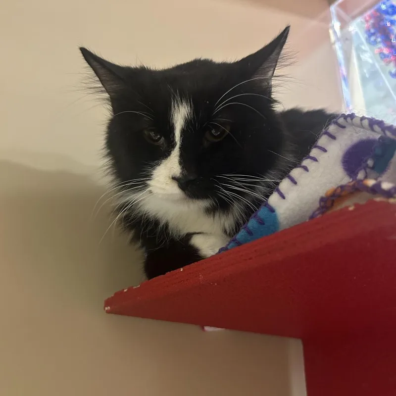 Sacramento thumbnail 3