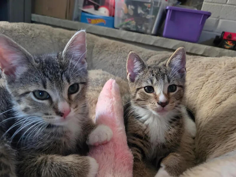 Frankie Mae thumbnail 2