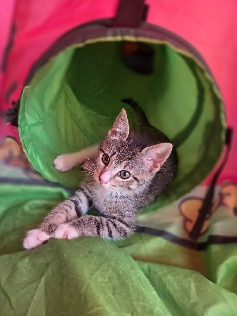 Frankie Mae thumbnail 3