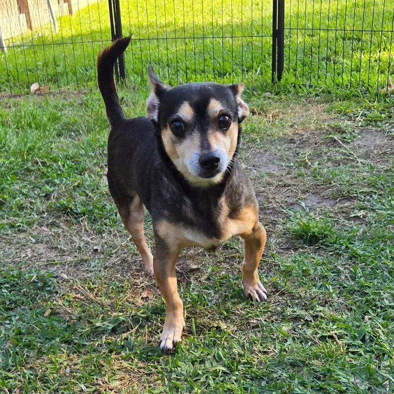 Jimothy Arriving  D thumbnail 4