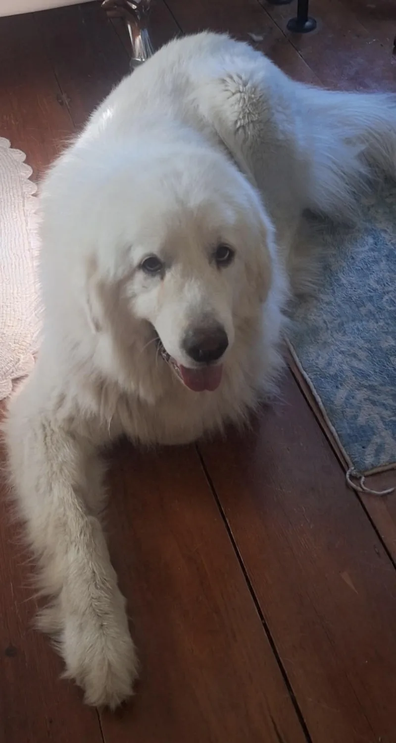 Greta