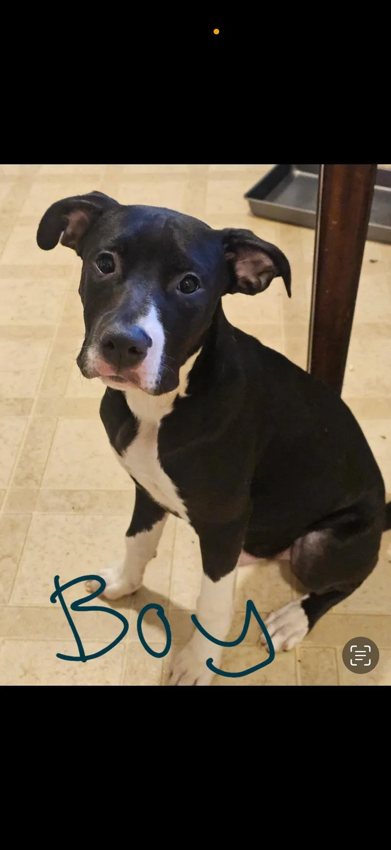 Urgent! Smokey & Co.