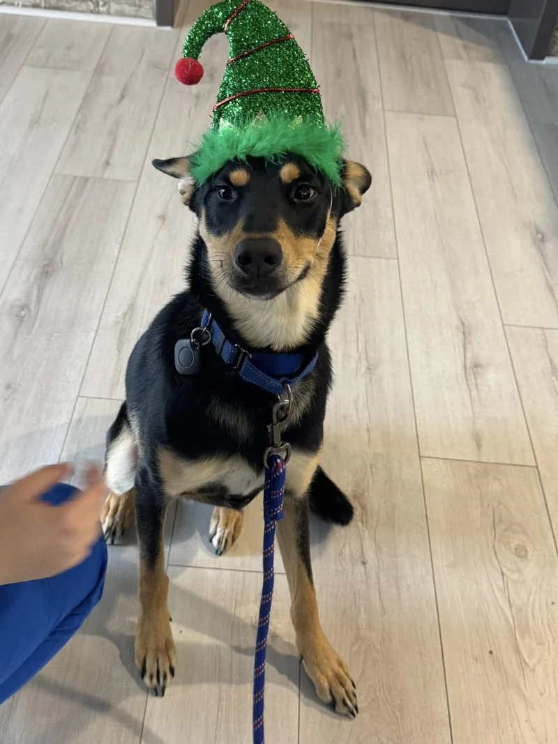 Tito  The Smooth thumbnail 2