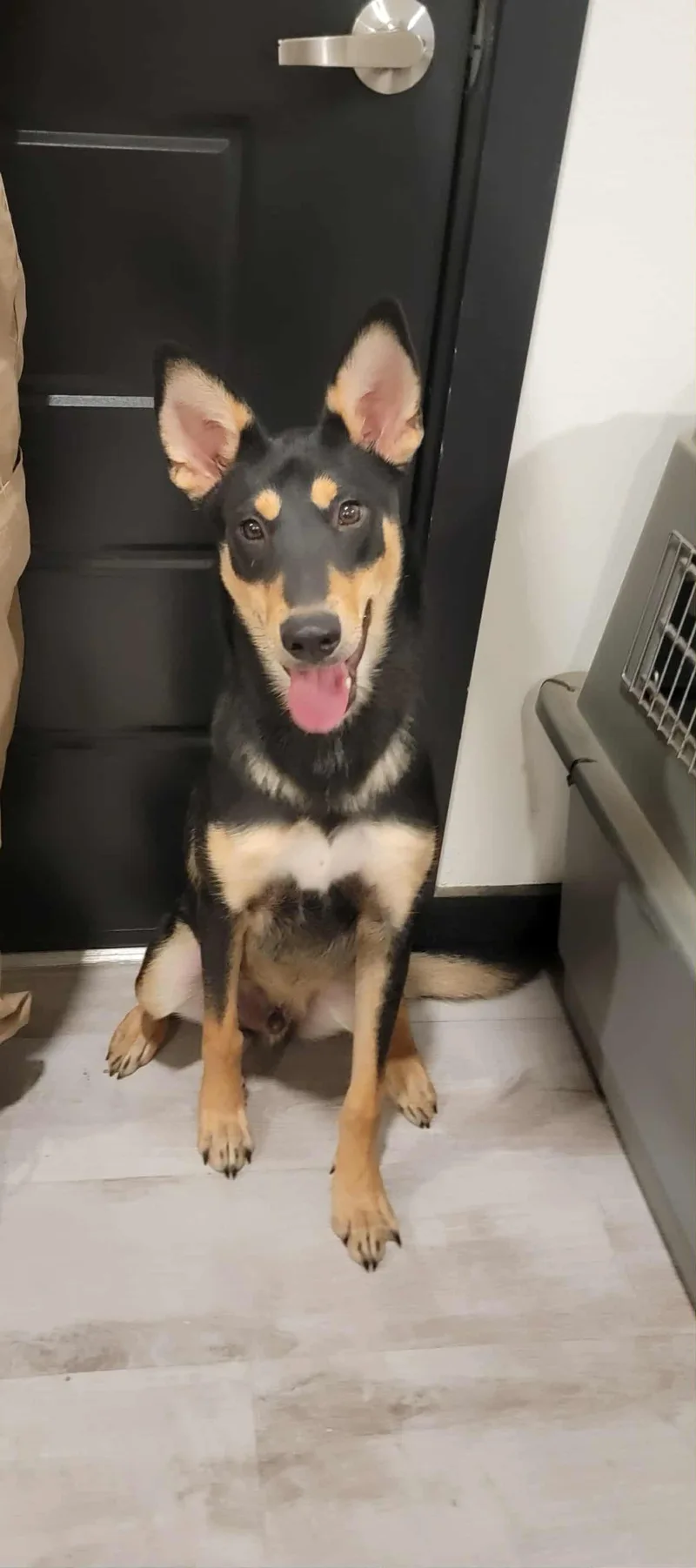 Tito  The Smooth thumbnail 3