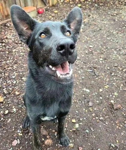 Saturn `violet` thumbnail 3