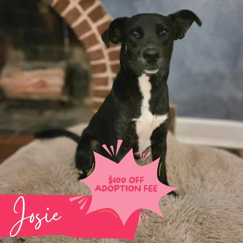 Josie