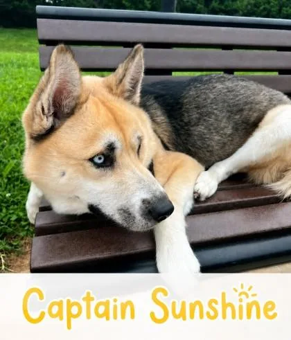 Capt Sunshine